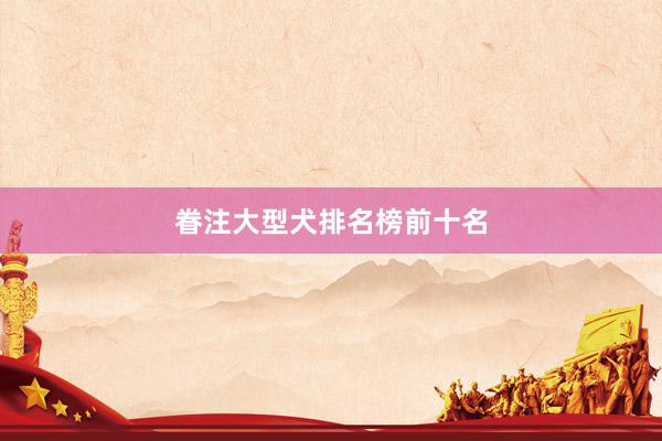 眷注大型犬排名榜前十名