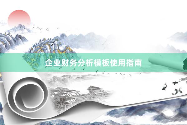 企业财务分析模板使用指南